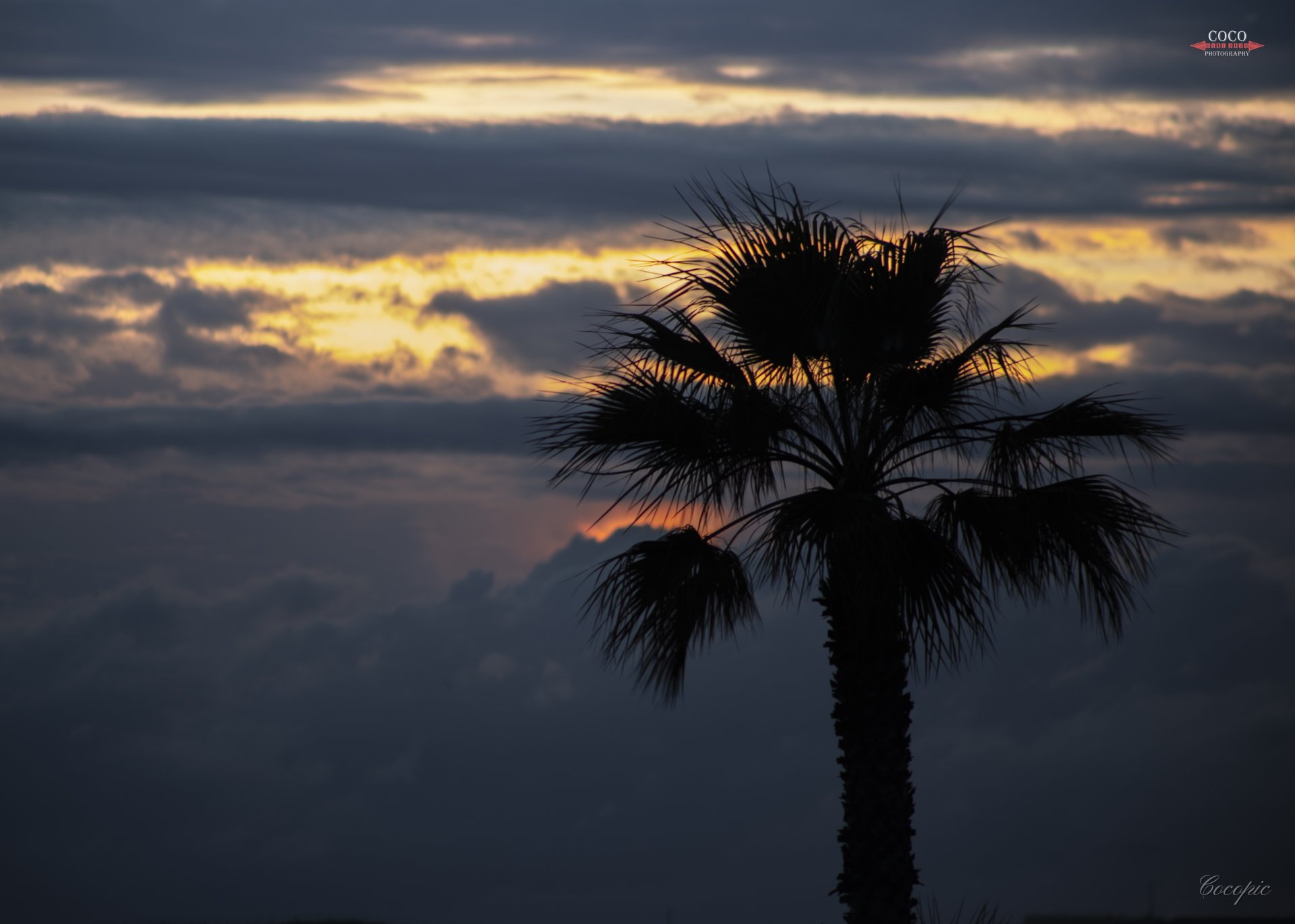 Niebla entre montañas andaluzas — fotografía de paisaje, Coco Cádiz